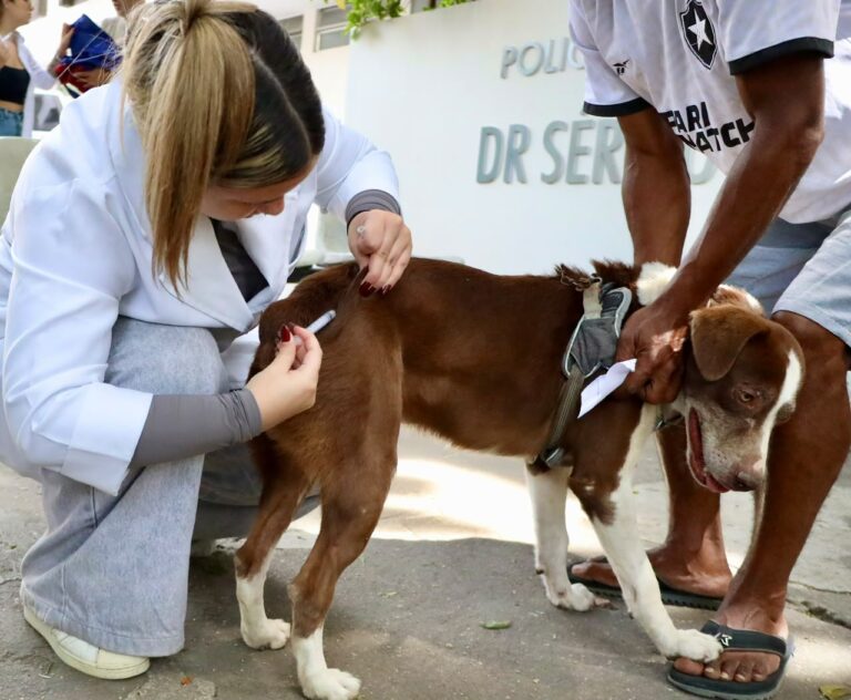 prefeitura-de-niteroi-inicia-campanha-de-vacinacao-antirrabica-animal-neste-sabado-(12)