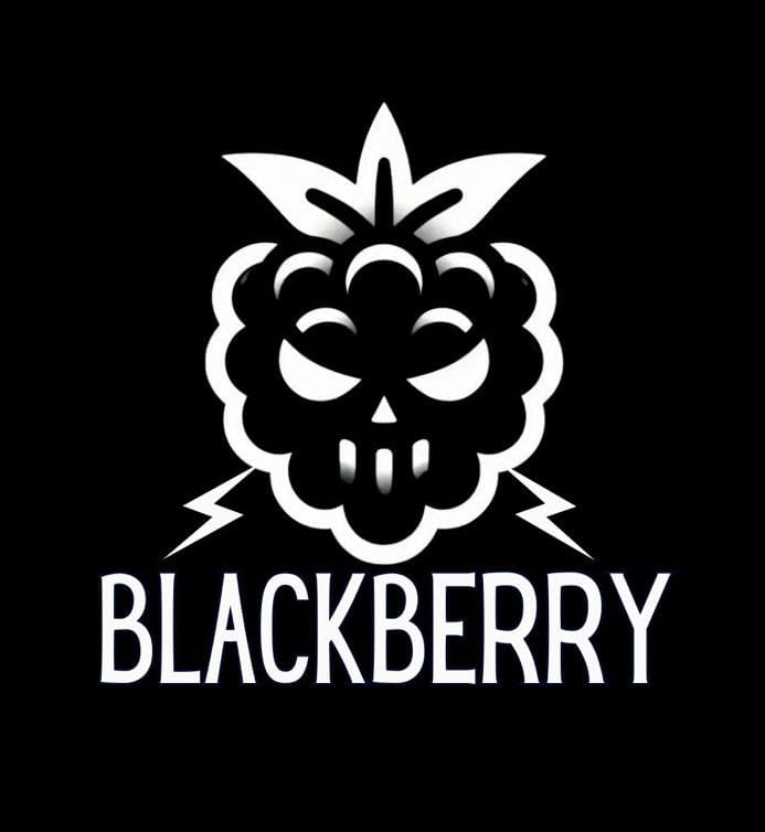 BlackBerry leva a força do rock para o palco da Vila Cervejeira, em Niterói blackberry-leva-a-forca-do-rock-para-o-palco-da-vila-cervejeira,-em-niteroi
